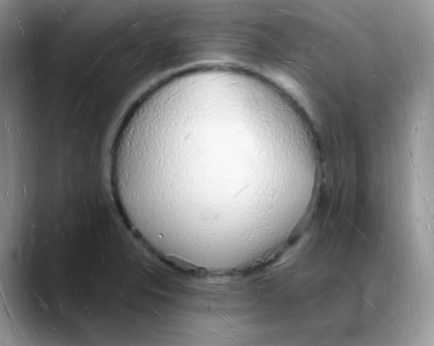 X0000088071326200706081702