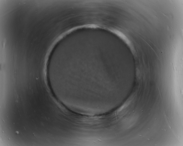 X0000088071327200706081702