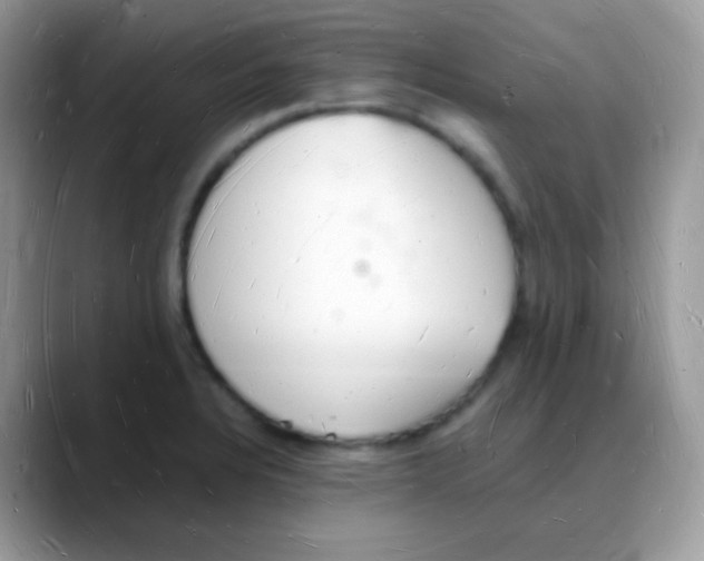 X0000088071328200706081702