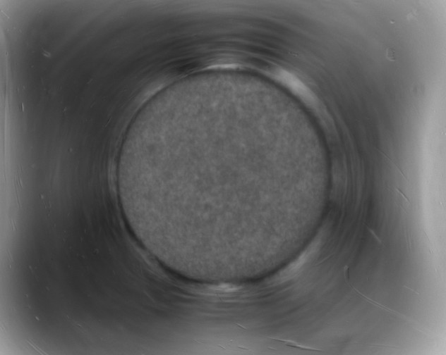 X0000088071329200706081702