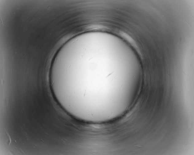 X0000088071330200706081702