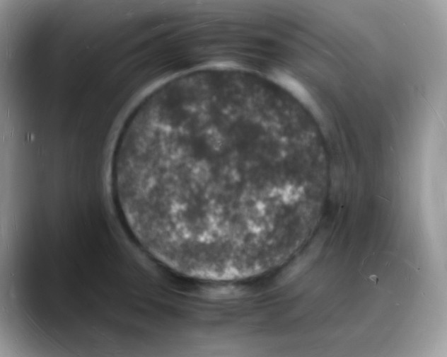 X0000088071331200706081702