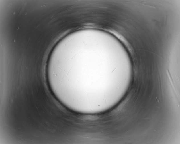 X0000088071333200706081702