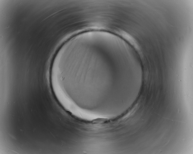 X0000088071334200706081702