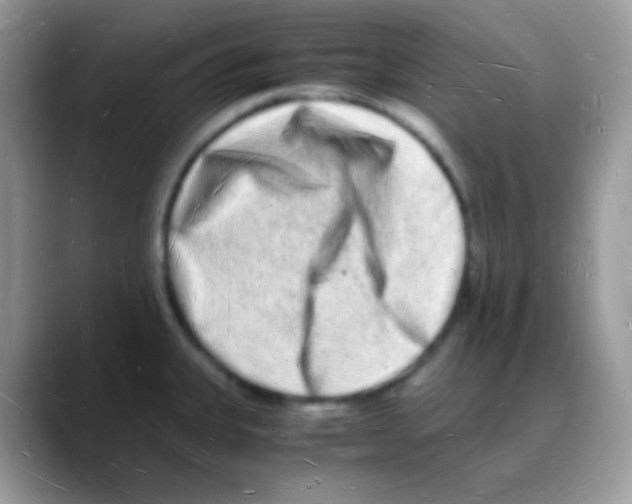 X0000088071335200706081702