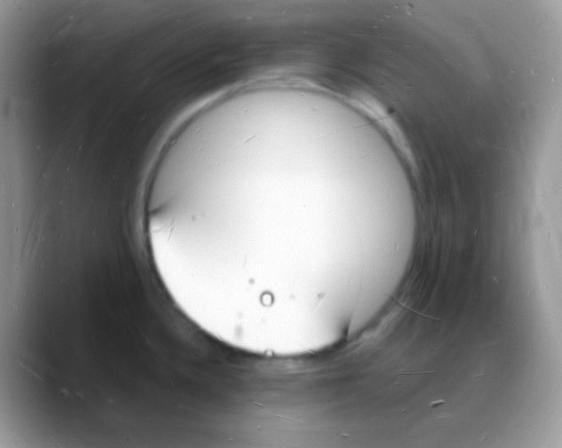 X0000088071336200706081702