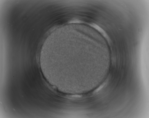 X0000088071337200706081702
