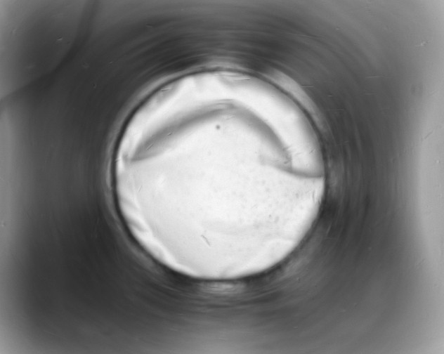 X0000088071339200706081702