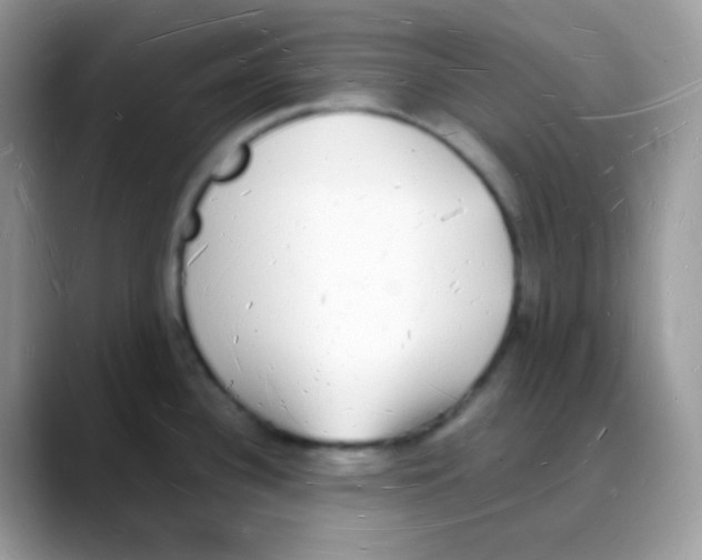 X0000088071340200706081702