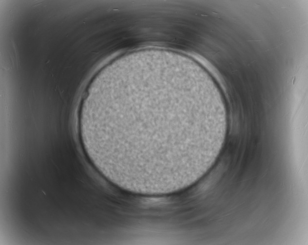 X0000088071341200706081702