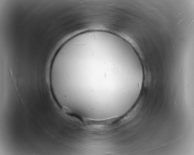 X0000088071342200706081702
