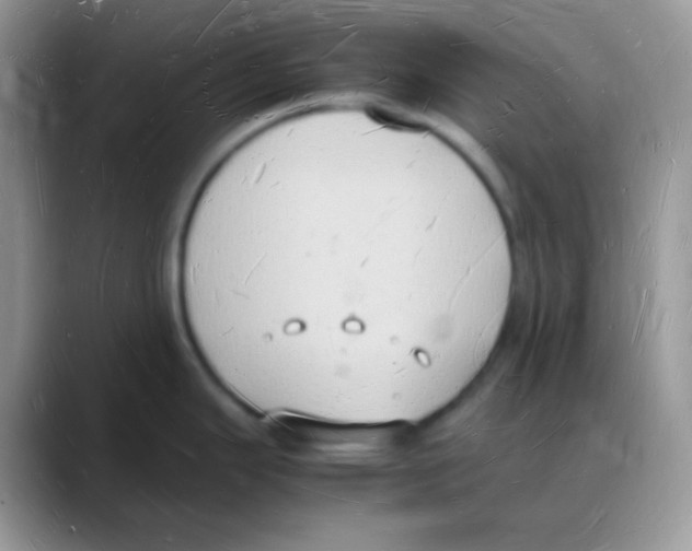 X0000088071343200706081702