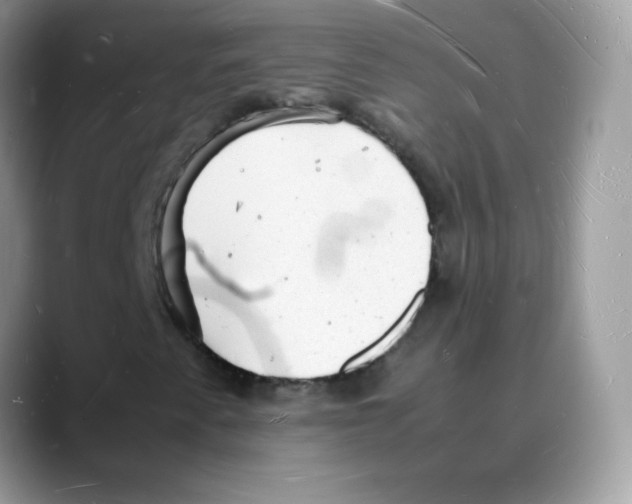 X0000088071345200706081701
