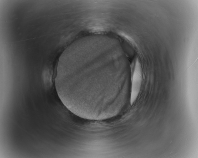 X0000088071348200706081701