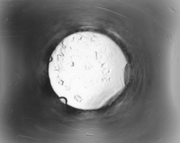 X0000088071351200706081701