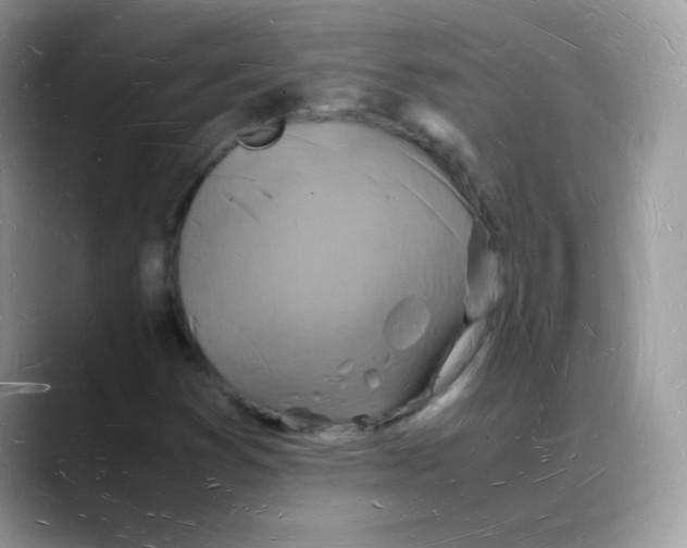 X0000088071353200706081701
