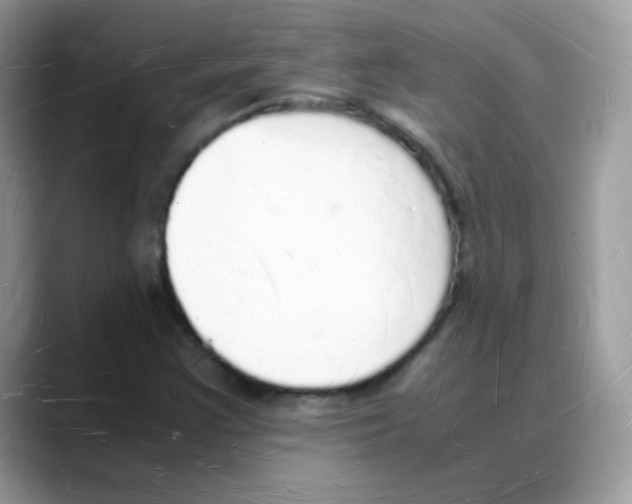 X0000088071355200706081701