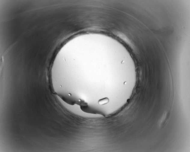 X0000088071356200706081701