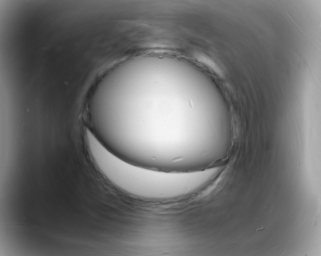 X0000088071357200706081701
