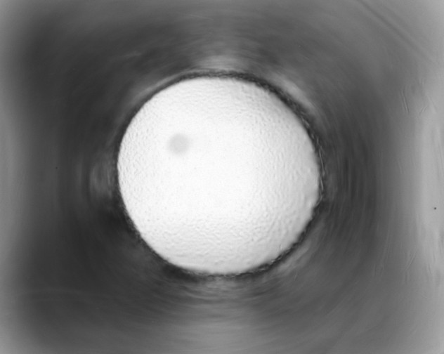 X0000088071358200706081701
