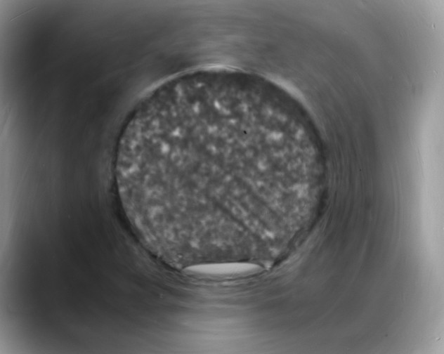 X0000088071359200706081701