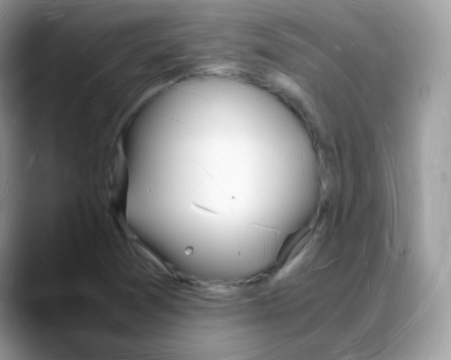 X0000088071361200706081701
