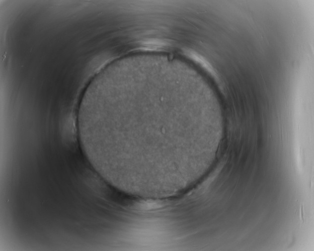 X0000088071362200706081701