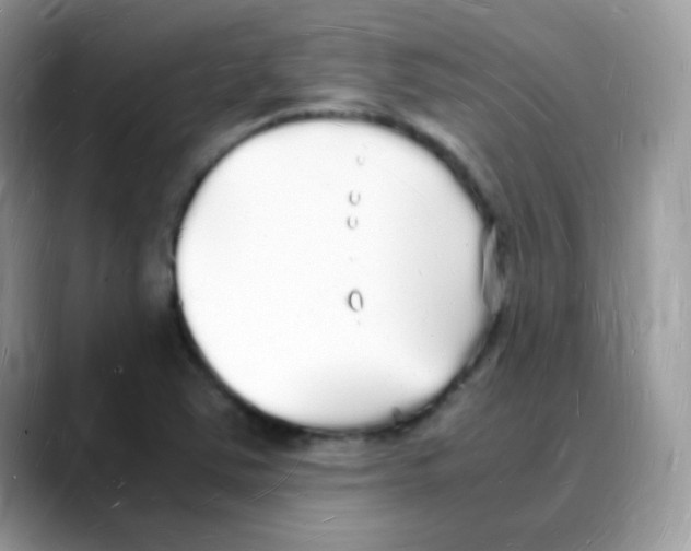 X0000088071363200706081701