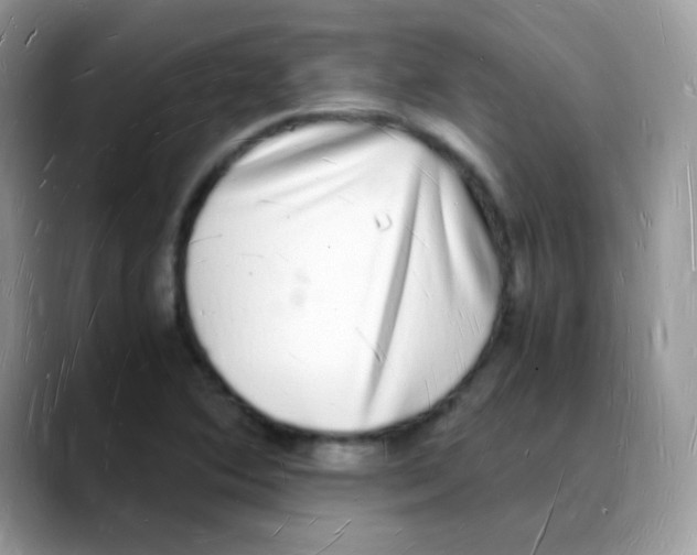 X0000088071364200706081701