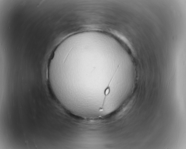 X0000088071365200706081701