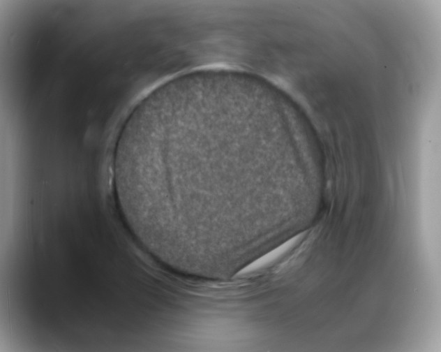X0000088071367200706081701
