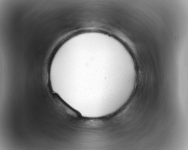 X0000088071368200706081701