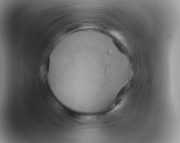 X0000088071369200706081701
