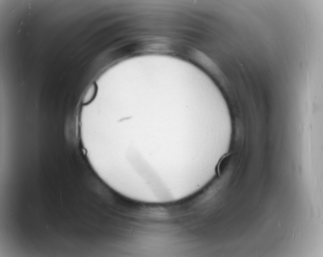 X0000088071370200706081701