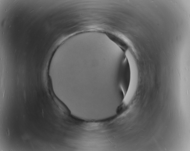 X0000088071373200706081701