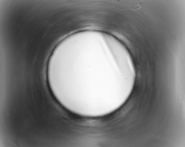 X0000088071375200706081701