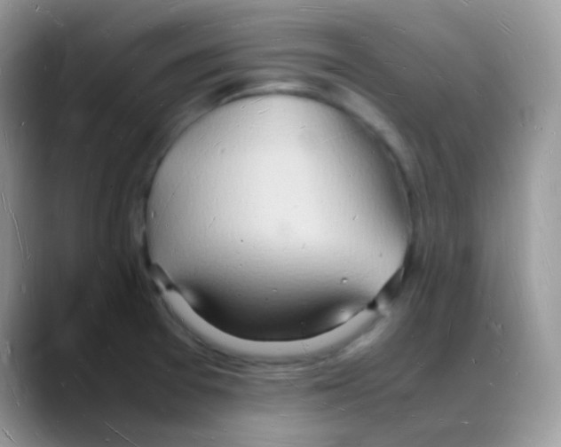 X0000088071377200706081701