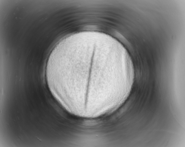 X0000088071378200706081701