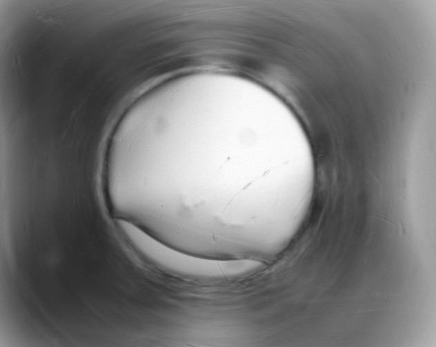 X0000088071379200706081701