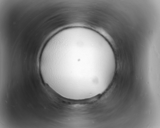X0000088071380200706081701