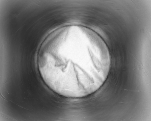 X0000088071382200706081701