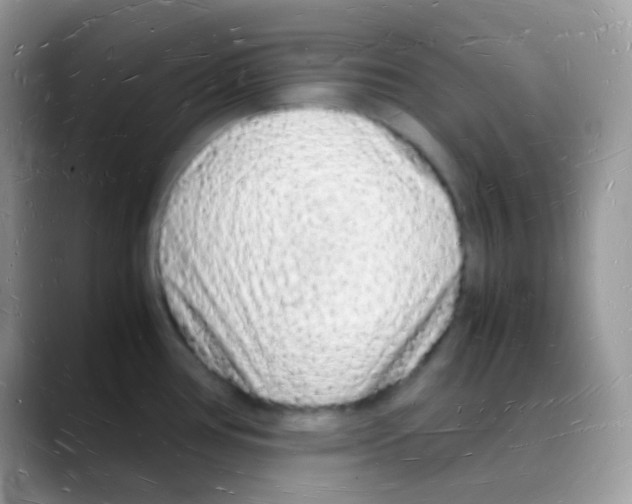 X0000088071386200706081701