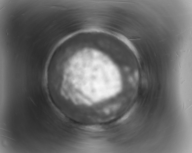 X0000088071388200706081701