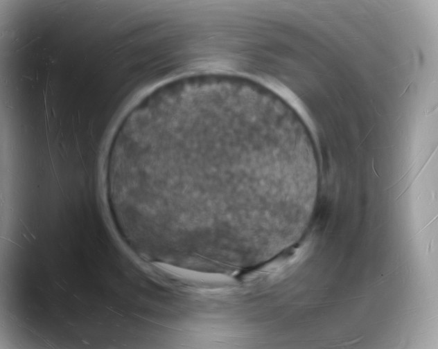 X0000088071389200706081701