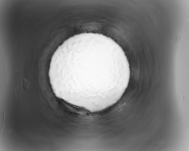 X0000088071393200706081700
