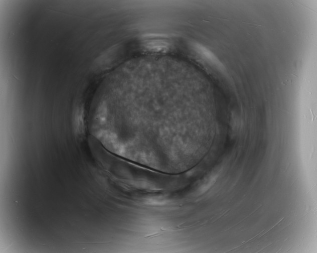 X0000088071394200706081700