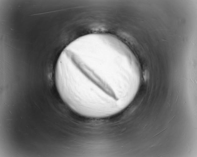 X0000088071396200706081700