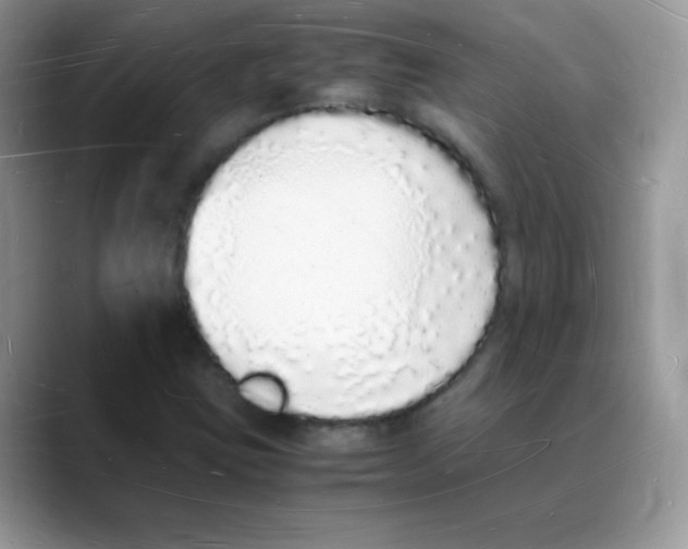 X0000088071403200706081700