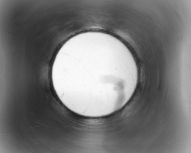 X0000088071404200706081700