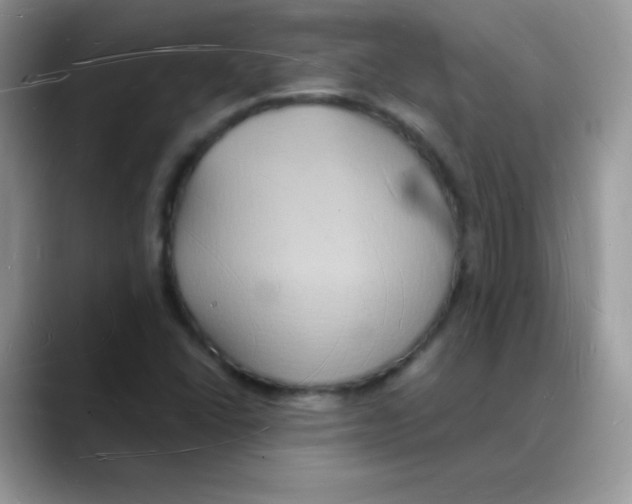 X0000088071406200706081700